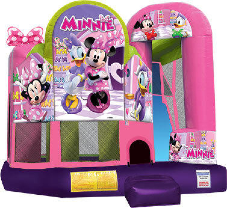Minnie 4-in-1 backyard combo