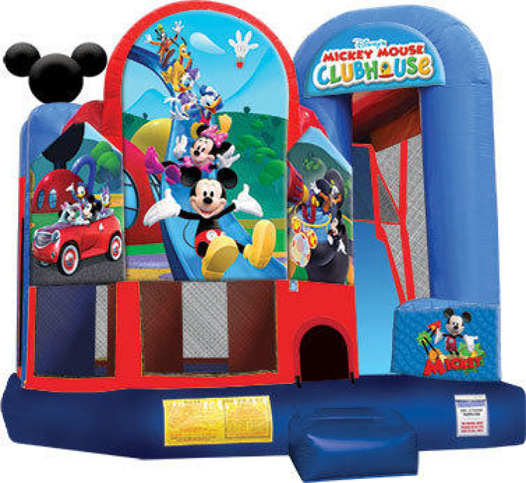 Mickey Park 4-in-1 backyard combo